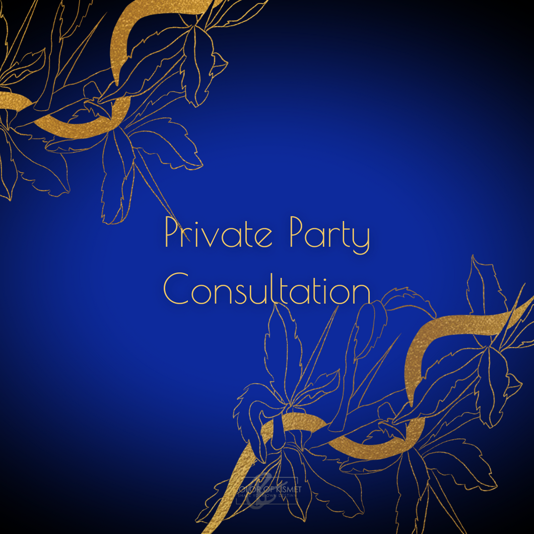Private Party Consultation